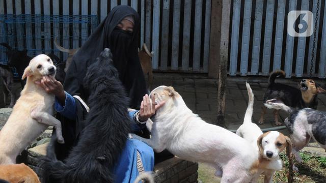 FOTO: Kedekatan Hesti Sutrisno dengan Anjing-Anjing Liar Peliharaannya