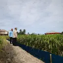 Prabowo: Kita Tidak Akan Swasembada Satu Tahun, Tapi Seterusnya!