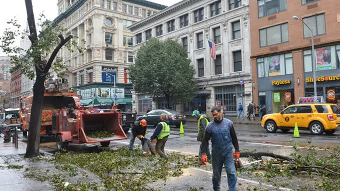 (c) Shutterstock.com