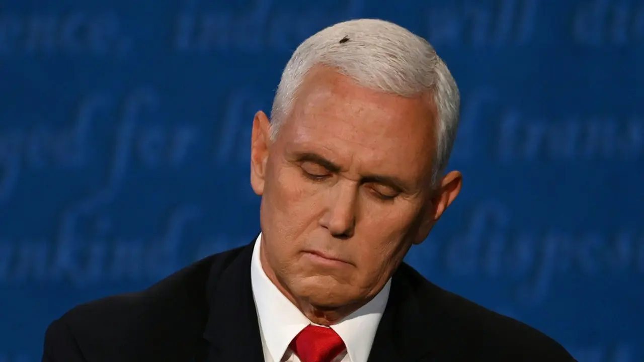 Lalat di kepala Calon Wakil Presiden AS Mike Pence saat debat 7 Oktober 2020. (AFP)