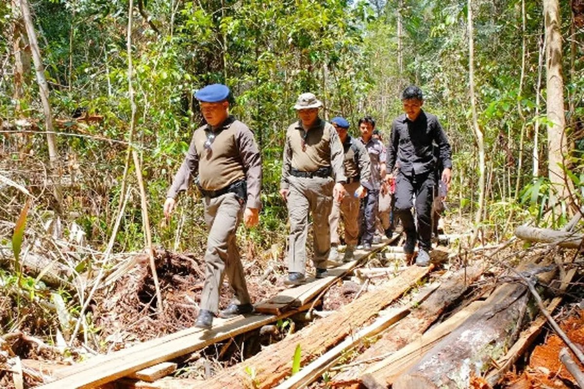 Kapolda Riau Irjen Agung Setya Imam Effendi berada di Cagar Biosfer Giam Siak Kecil yang menjadi sasaran pembalakan liar.