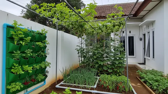 Kebun   Dibagi Zona Sayur dan Buah