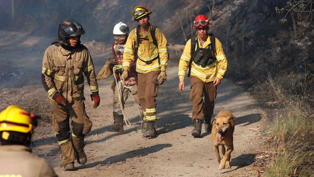 Kebakaran Hutan Chile, 18 Orang Tewas dan Puluhan Ribu Lainnya Mengungsi