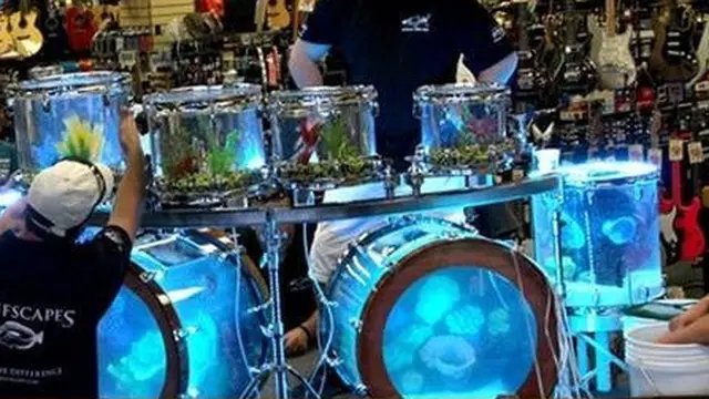 7 Desain Akuarium Anti Mainstream Ini Bikin Geleng Kepala