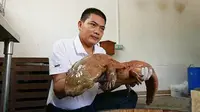Salamander Raksasa Berusia 200 Tahun Ditemukan 