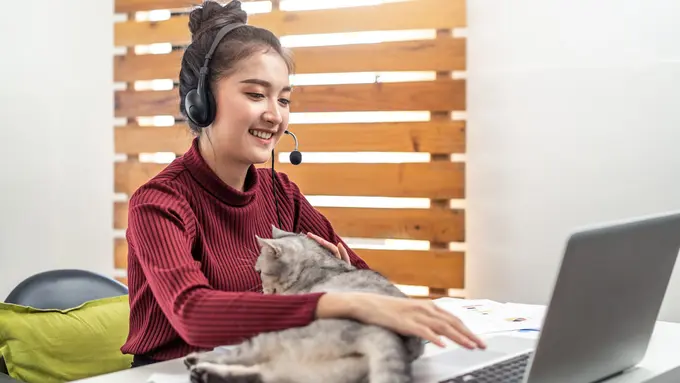 Sepele tapi Penting, Catlover Wajib Paham 5 Tips Selamatkan Nyawa Kucing