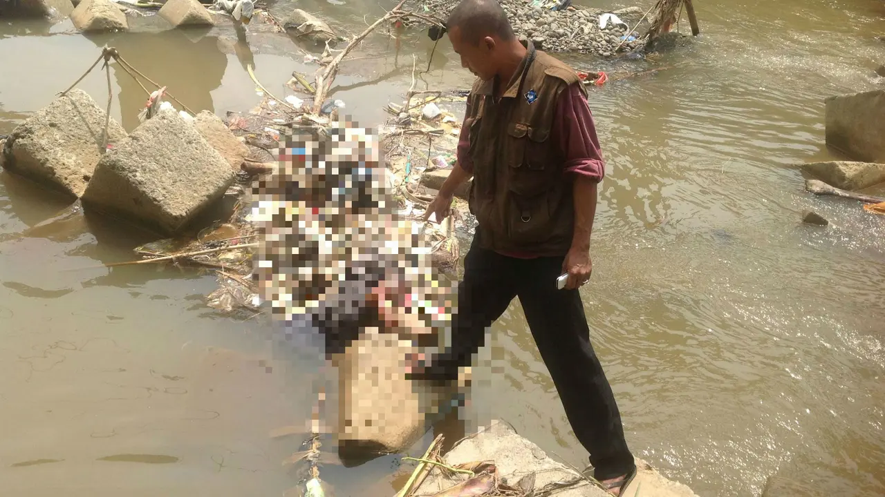 Mayat Bayi di Bawah Jembatan Bendung Katulampa Gegerkan Warga