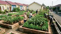 9 Ide Kebun Sayur Bersama di Komplek Perumahan Subsidi, Lahan Fasum Jadi Produktif