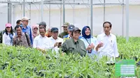Jokowi Sebut Persemaian Mentawir Sudah Rampung, Siap Hijaukan Kawasan IKN