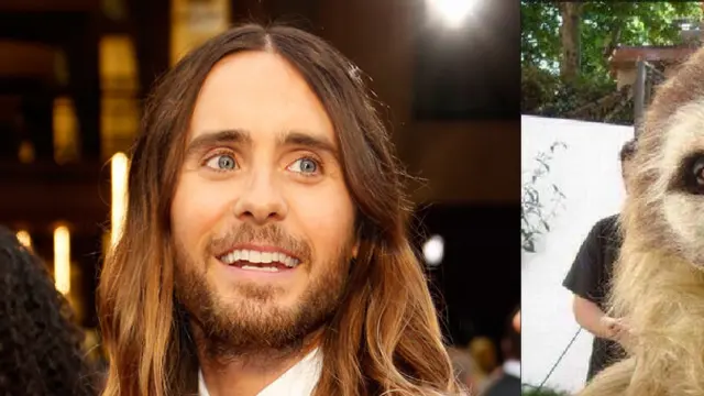 Benarkah 5 Artis Ini Berwajah Mirip Hewan?