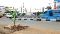 Sebuah lubang bekas galian ditanami pohon pisang di pinggir Jalan Raya Margonda, Depok, Senin (4/3/2019). Aksi tanam pohon pisang itu sebagai protes warga akibat banyaknya lubang galian di Jalan Margonda. (Liputan6.com/Herman Zakharia)