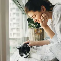 Inginnya Liburan, Jangan Sampai Tinggalkan Kucing Sendirian di Rumah