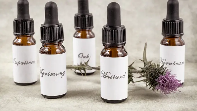 Stabilkan Emosi dan Tenangkan Pikiran dengan Bach Flower Remedies