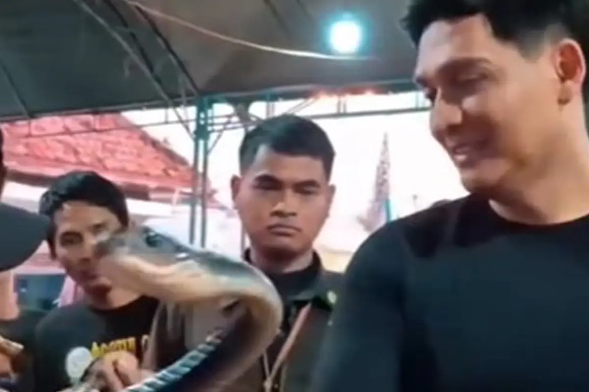 6 Potret Lucky Hakim Lepas Ribuan Ular ke Sawah, Bantu Petani Basmi Hama Tikus