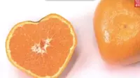 Petani Jepang membentuk jeruk di pertanian mereka menyerupai bentuk hati.