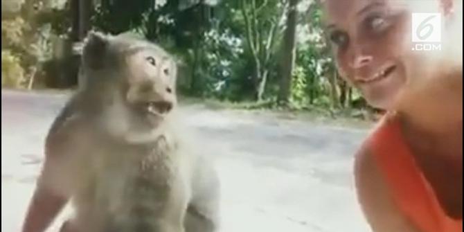 VIDEO: Sok Akrab, Seorang Gadis Dianiaya Monyet