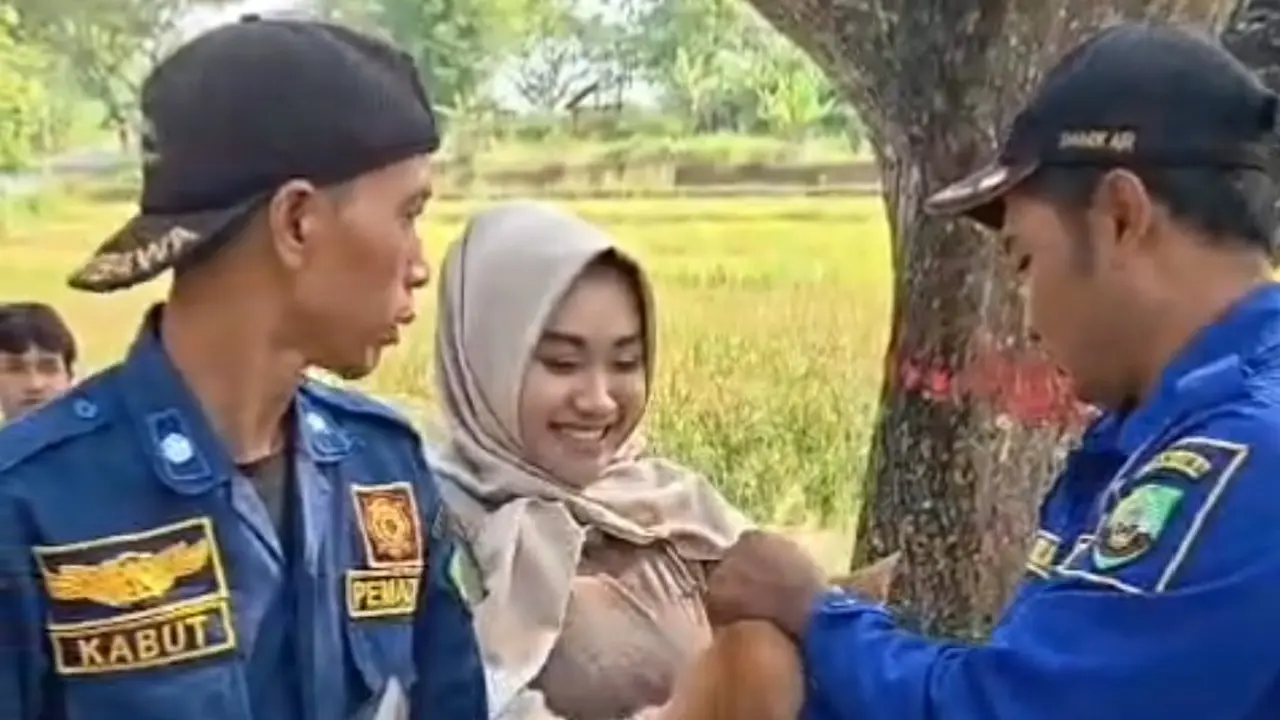 Petugas Damkar selamatkan kucing