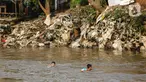 Anak-anak bermain di bantaran Kali Ciliwung, Jakarta, Selasa (27/6/2023). (Liputan6.com/Faizal Fanani)