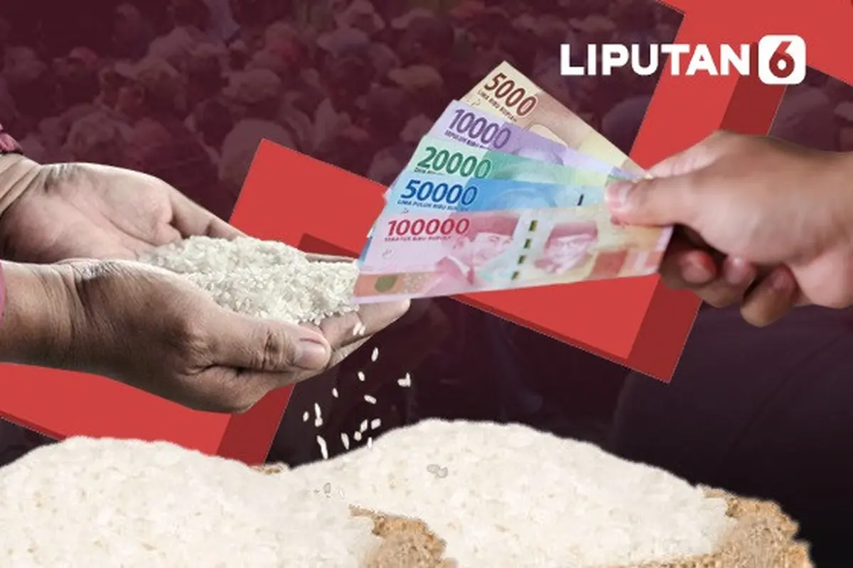 Banner Infografis Harga Beras Naik hingga Beli Beras Dibatasi