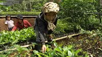 Menyumbang Oksigen Bumi Lewat Kareumbi