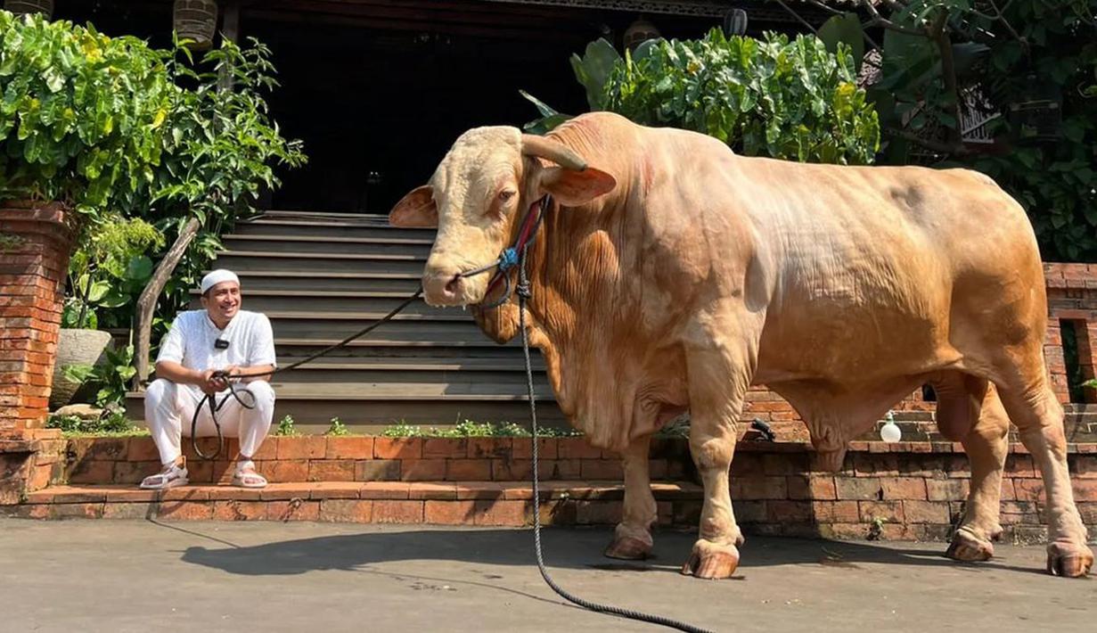 Seperti Idul Adha tahun-tahun sebelumnya, tahun ini Irfan Hakim kembali berkurban. Presenter terkenal ini berkurban seekor sapi jumbo bernama Wisanggeni. (Instagram/irfanhakim75)