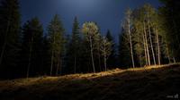 5 Zodiak yang Akan Alami Perubahan Besar dalam Hubungan di Momen Snow Moon - Ilustrasi Snow Moon (Foto dibuat oleh Grok/X)