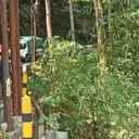 Jalan Penghubung Jember-Banyuwangi Retak 40 Meter, Lokasinya Dekat Jurang