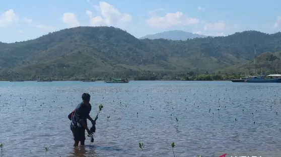 Langkah Pemprov NTB Bangun Ekosistem Perdagangan Karbon Berkelanjutan