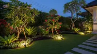 Model Taman Depan Rumah dengan Lampu Sorot Estetik dan Anti Ular
