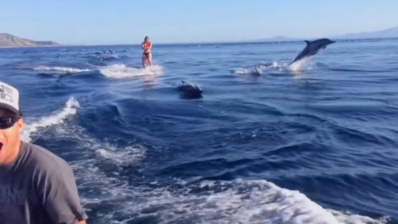 Bermain di Laut, Wanita Ini Tiba-Tiba Dikelilingi Lumba-Lumba