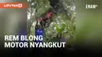AKIBAT REM BLONG, DUA WISATAWAN TERPENTAL DAN MOTOR NYANGKUT DIATAS POHON