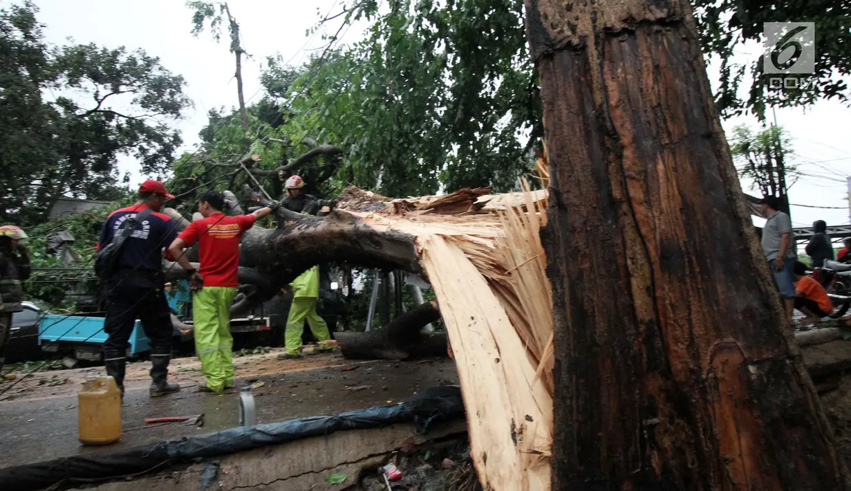 Petugas bersama unsur masyarakat  berupaya melakukan proses pemotongan pohon besar yang tumbang akibat Hujan dan Angin di wilayah Serua, Ciputat, Rabu (12/12). sejumlah ruas wiliyah Tangsel mengalami kemacetan yang cukup parah. (merdeka.com/ arie basuki)