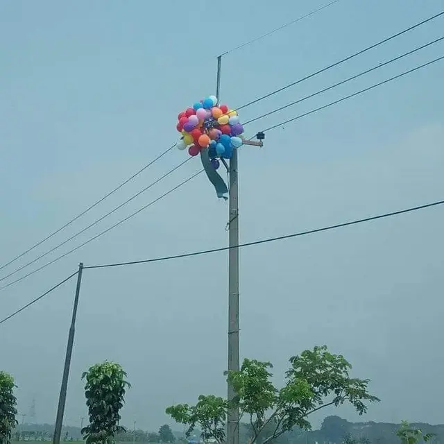 6 Barang Nyangkut di Kabel Listrik Ini Absurd Banget, Bikin Mikir Cara Naruhnya