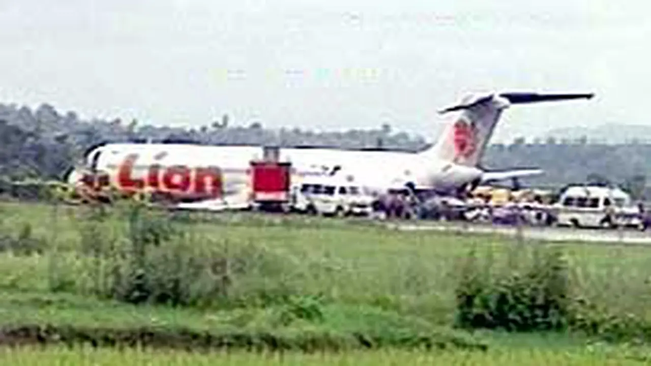 030205bLion.jpg