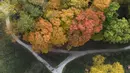 Dalam gambar yang diambil dengan drone ini memperlihatkan warna-warni pepohonan saat musim gugur di Citizen's Park, Barrington, Illinois, Amerika Serikat, 12 Oktober 2020. (Mark Welsh/Daily Herald via AP)