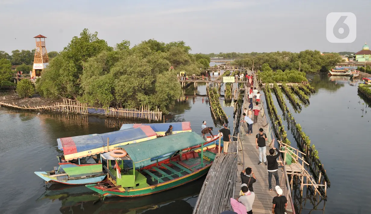 Wisatawan usai menaiki perahu saat mengunjungi Taman Wisata Hutan Bakau (Mangrove) di Desa Segarajaya, Tarumajaya, Bekasi, Jawa Barat (24/11/2019). Taman wisata hutan bakau ini menjadi salah satu destinasi favorit warga, baik dari dalam maupun luar Bekasi. (merdeka.com/Iqbal S. Nugroho)
