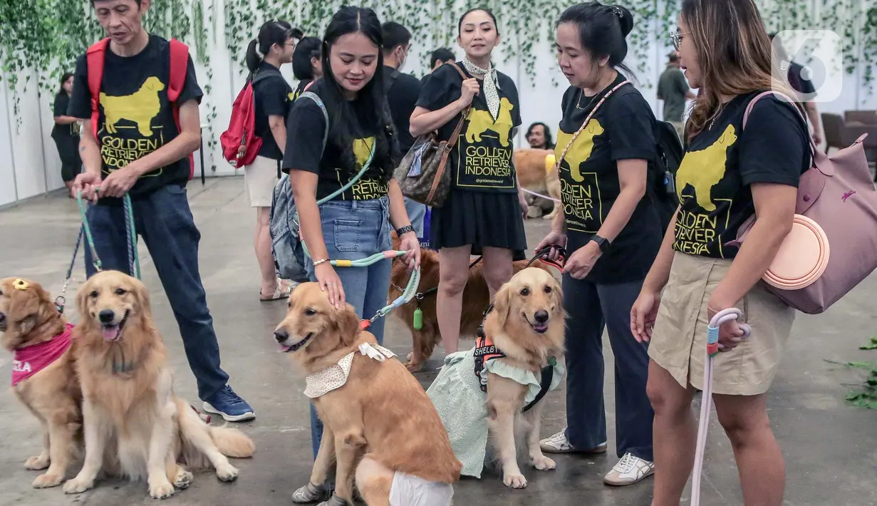 Petfest hadir kembali di Indonesia Convention Exhibition Bumi Serpong Damai (ICE BSD), Tangerang, Banten. (Liputan6.com/Herman Zakharia)