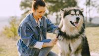 9 Tips to Keep a Dog's Fur Shiny and Healthy