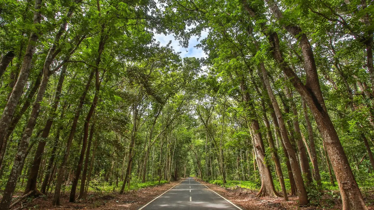 Taman Nasional Alas Purwo Banyuwangi (Istimewa)