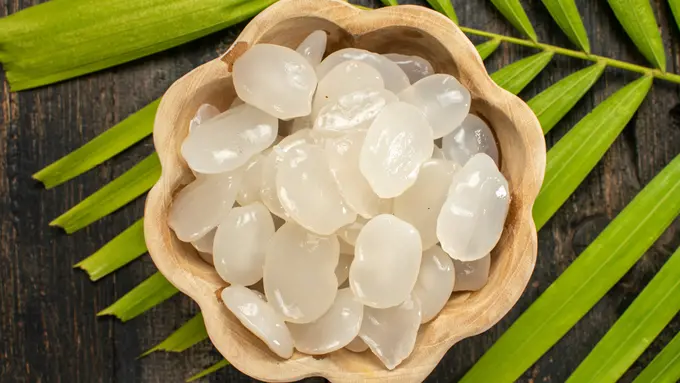 tips resep kolang-kaling buah atap aren