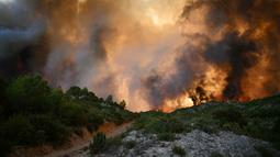 Diketahui, kebakaran hutan di Prancis telah menewaskan satu orang dan melukai sembilan lainnya serta menghanguskan 11.000 hektar lahan. (Lionel BONAVENTURE/AFP)