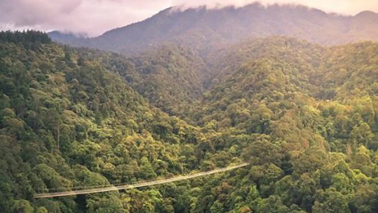 Ini Penampakan Jembatan Gantung Terpanjang di Sukabumi