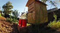 Rumah lebah ini dibuat untuk membantu para peternak lebah dalam memanen madu.