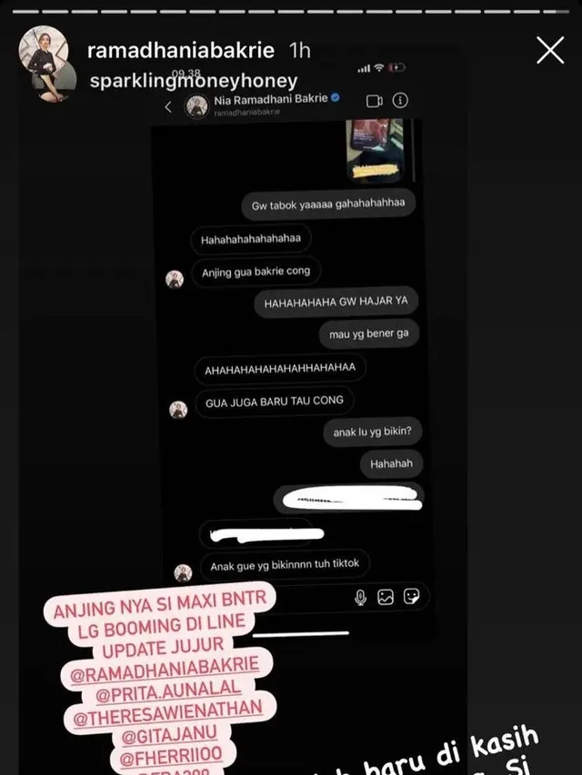 Nia Ramadhani membahas soal anjing peliharaan anaknya, Mikhayla. (Instagram Stories)