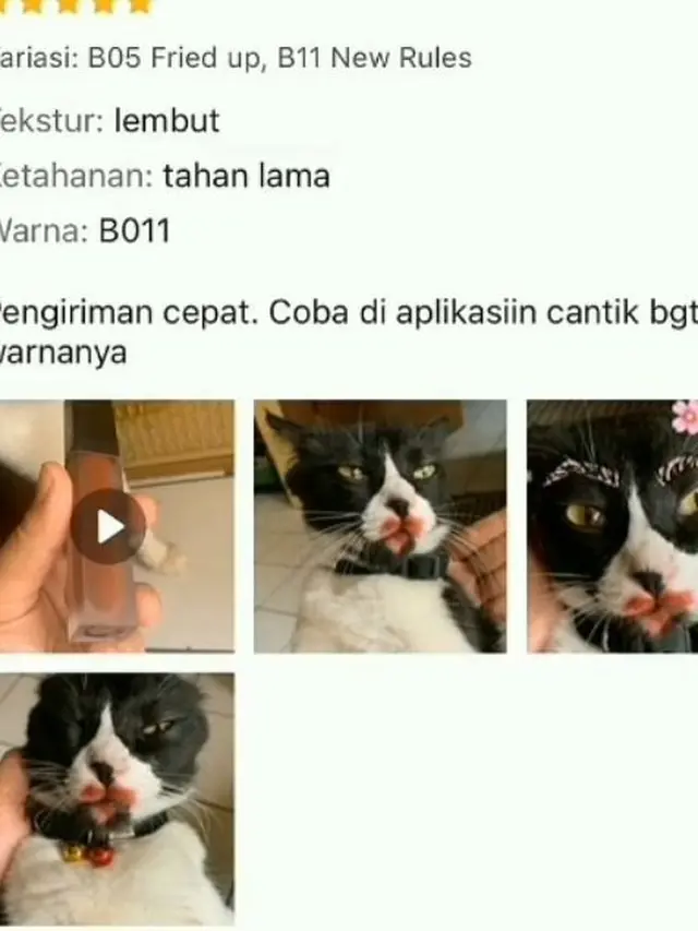 10  Potret Kocak Ulasan Netizen Setelah Belanja Online Ini Bikin Geleng Kepala