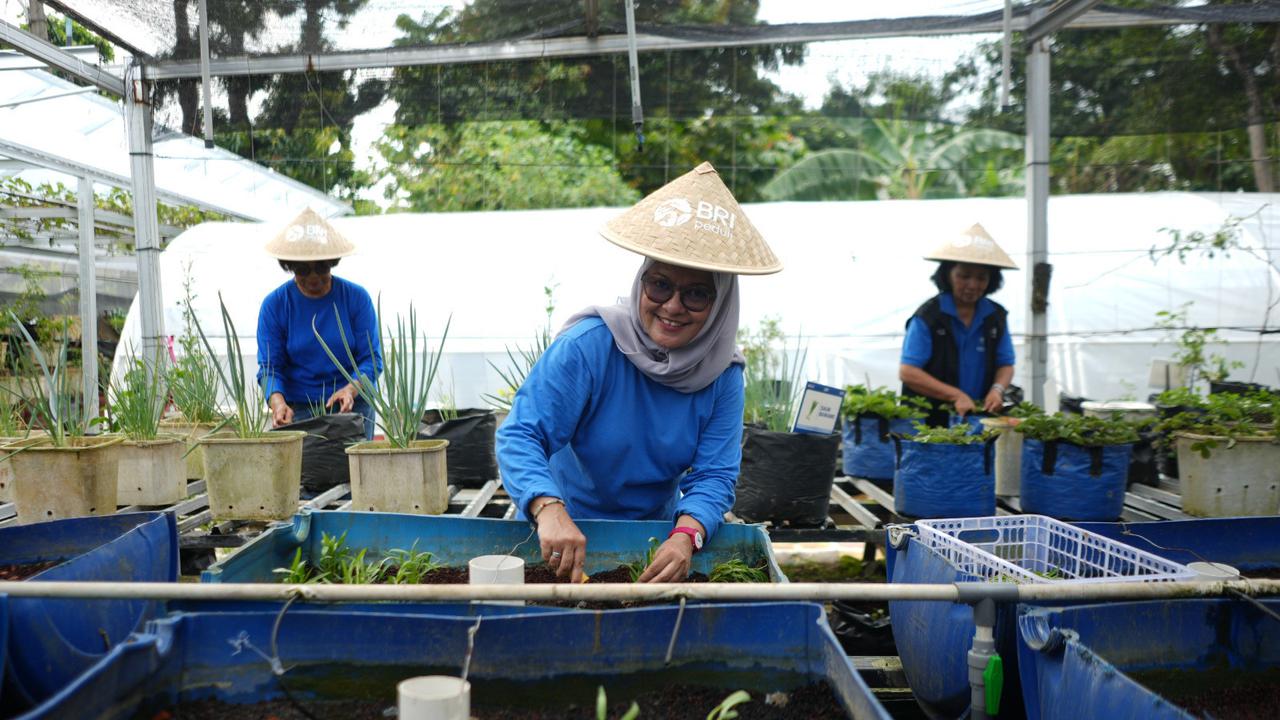 Dari Semangat Kartini, BRI Dorong Perempuan Berdaya Lewat Urban Farming BRInita