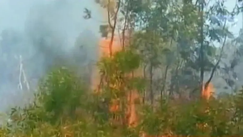 20151101-Kebakaran Hutan-Jambi