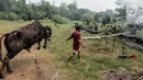 Penjual hewan kurban melakukan aktivitas di area pemakaman Tionghoa, Tanah Kusir, Jakarta, Selasa (21/7/2020). Jelang Idul Adha, pedagang mengaku menyediakan hewan kurban untuk dijual hanya setengah dari tahun sebelumnya karena sepinya minat pembeli di tengah Covid-19. (Liputan6.com/Johan Tallo)