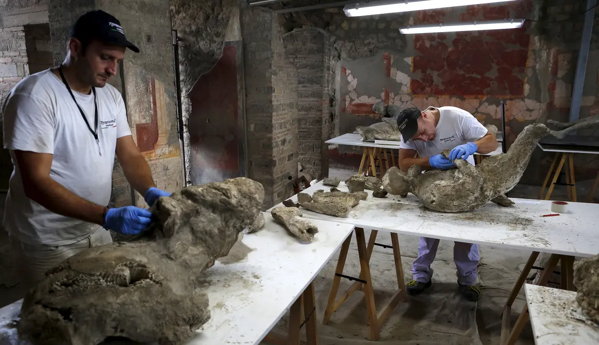 Para Arkeolog sedang meniliti fosil - fosil warga Pompei yang ditemukan di Napoli, Italia, Selasa (13/10/2015). Kota ini pernah hilang selama 1.600 tahun sebelum ditemukan kembali dengan tidak sengaja. (REUTERS/Alessandro Bianchi)