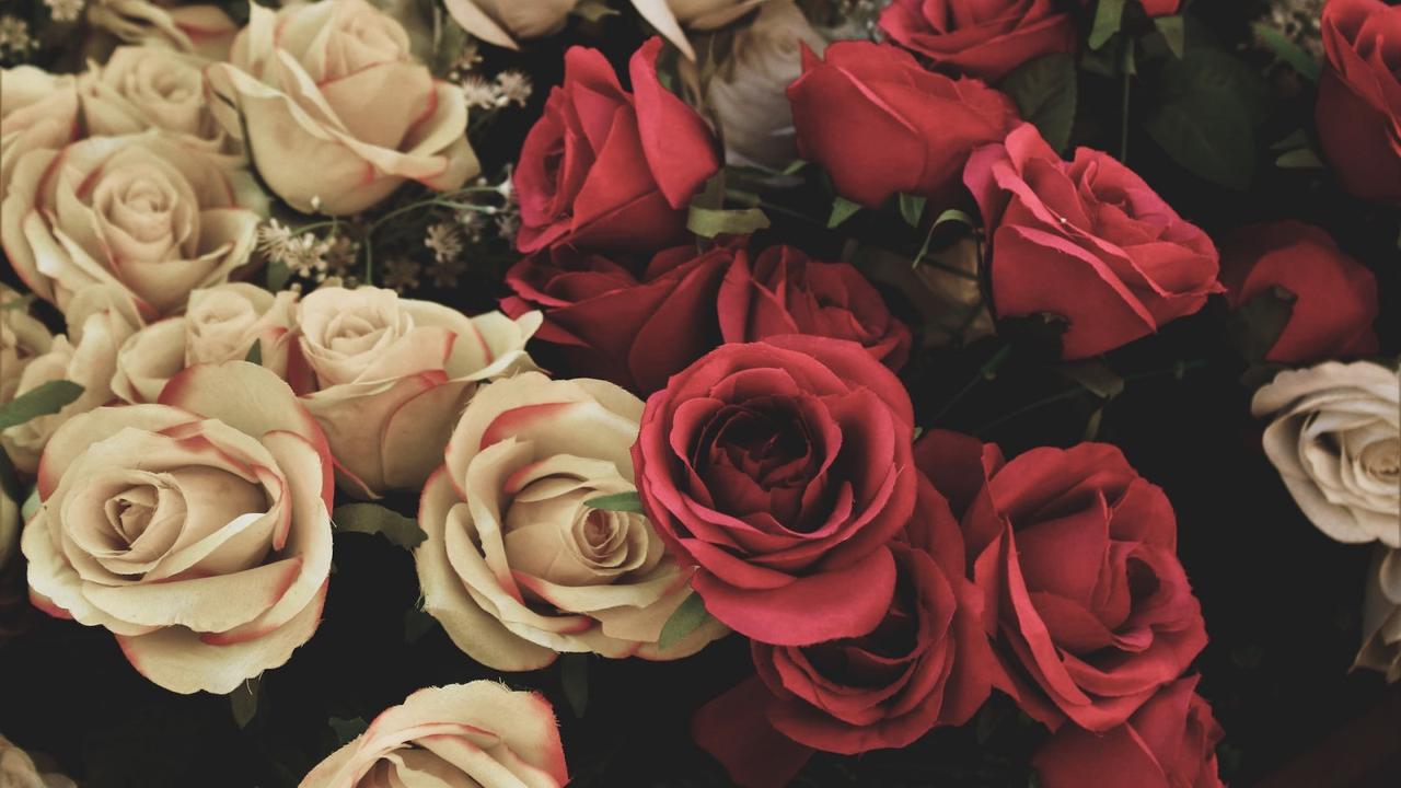 Ilustrasi mawar, cinta, Hari Valentine